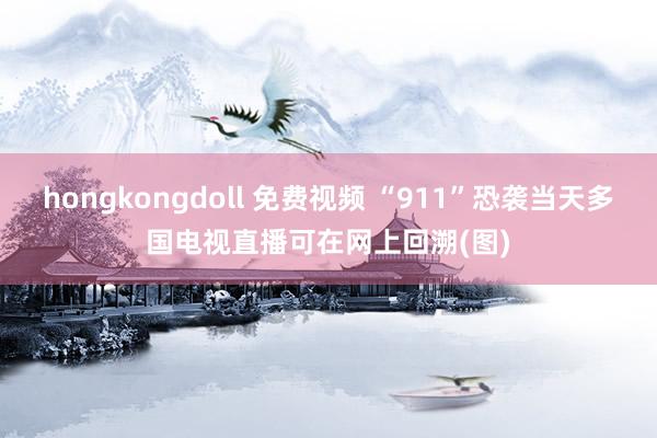 hongkongdoll 免费视频 “911”恐袭当天多国电视直播可在网上回溯(图)