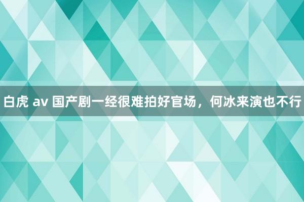 白虎 av 国产剧一经很难拍好官场，何冰来演也不行