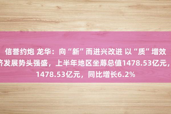 信誉约炮 龙华：向“新”而进兴改进 以“质”增效促发展 数字经济发展势头强盛，上半年地区坐蓐总值1478.53亿元，同比增长6.2%