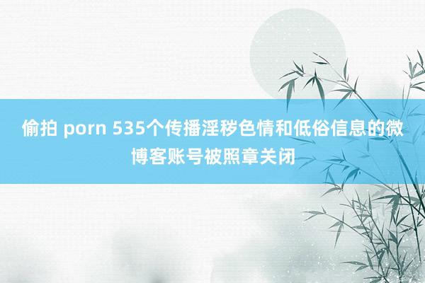 偷拍 porn 535个传播淫秽色情和低俗信息的微博客账号被照章关闭