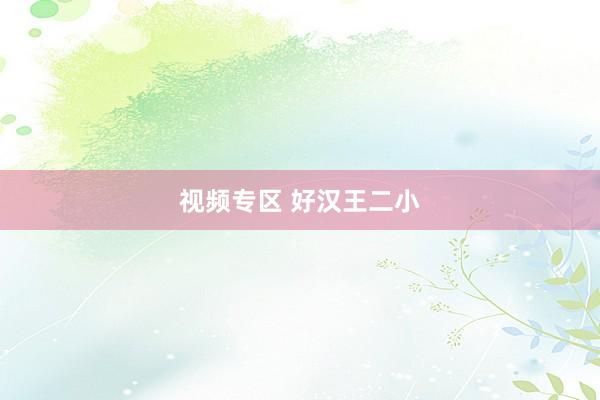视频专区 好汉王二小