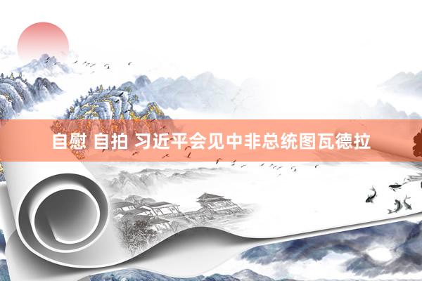 自慰 自拍 习近平会见中非总统图瓦德拉