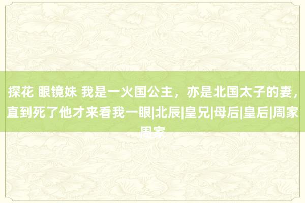探花 眼镜妹 我是一火国公主，亦是北国太子的妻，直到死了他才来看我一眼|北辰|皇兄|母后|皇后|周家
