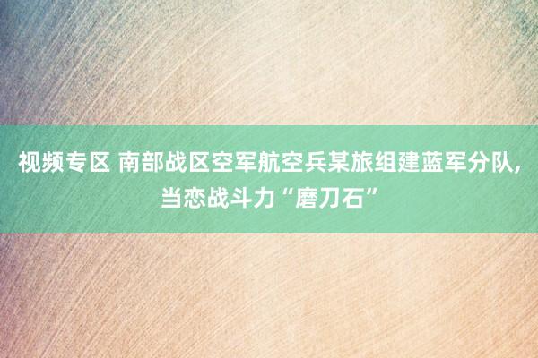 视频专区 南部战区空军航空兵某旅组建蓝军分队，当恋战斗力“磨刀石”