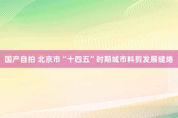 国产自拍 北京市“十四五”时期城市料剪发展缱绻