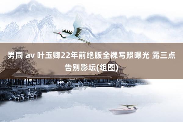 男同 av 叶玉卿22年前绝版全裸写照曝光 露三点告别影坛(组图)