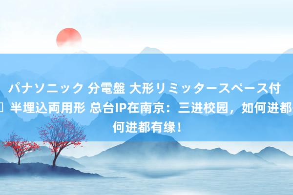 パナソニック 分電盤 大形リミッタースペース付 露出・半埋込両用形 总台IP在南京：三进校园，如何进都有缘！