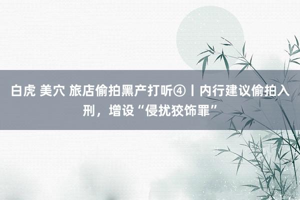 白虎 美穴 旅店偷拍黑产打听④丨内行建议偷拍入刑，增设“侵扰狡饰罪”
