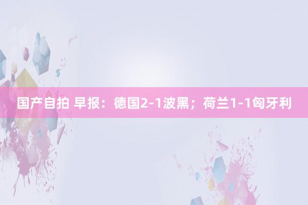 国产自拍 早报：德国2-1波黑；荷兰1-1匈牙利