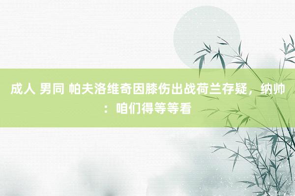 成人 男同 帕夫洛维奇因膝伤出战荷兰存疑，纳帅：咱们得等等看