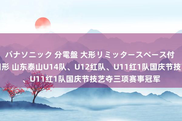 パナソニック 分電盤 大形リミッタースペース付 露出・半埋込両用形 山东泰山U14队、U12红队、U11红1队国庆节技艺夺三项赛事冠军