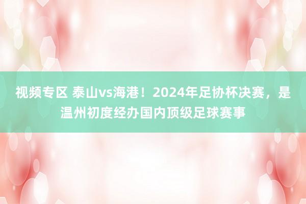 视频专区 泰山vs海港！2024年足协杯决赛，是温州初度经办国内顶级足球赛事